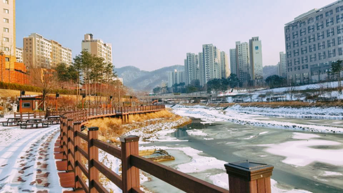 하남 반려견 겨울 나들이 명소, 강아지와 함께 산책하기 좋은 곳 추천