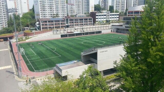 학교 운동장과 아스팔트의 기온 차이 실험