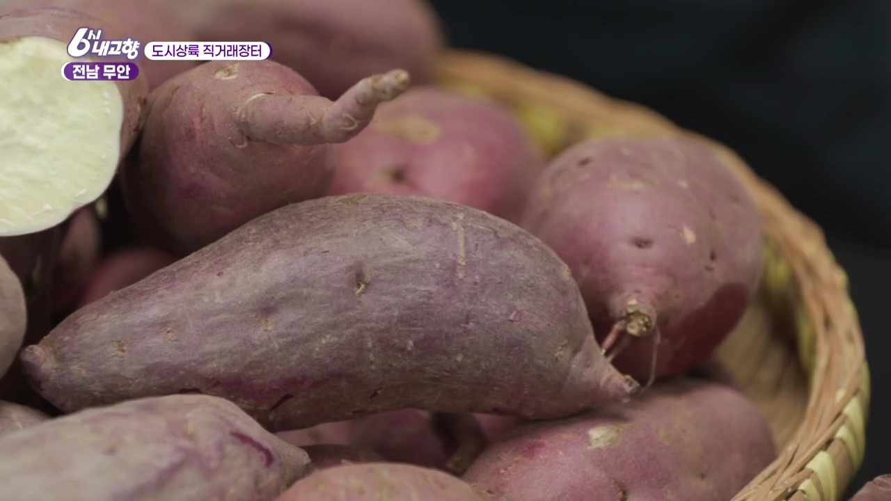 6시내고향 도시상륙 직거래장터 전남 무안 고구마가 바구니에 담긴 모습
