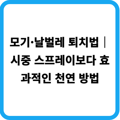 모기·날벌레 퇴치법|시중 스프레이보다 효과적인 천연 방법