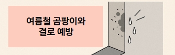 제습기를 사야하는 이유2