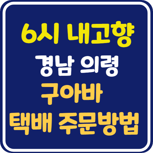 6시 내고향 경남 의령 유기농 구아바 택배 주문 방법