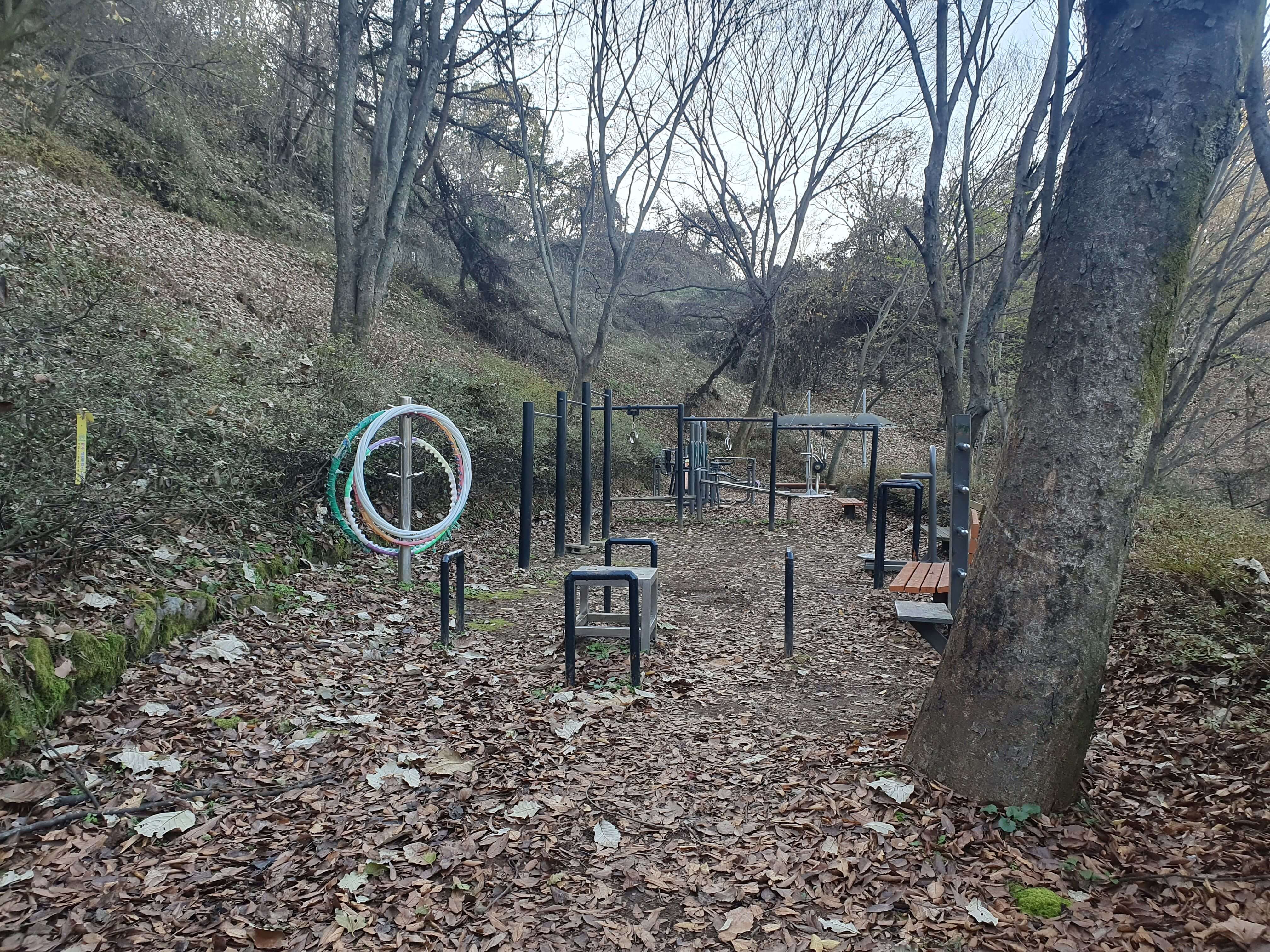 봉서산 정상에 있는 체육시설