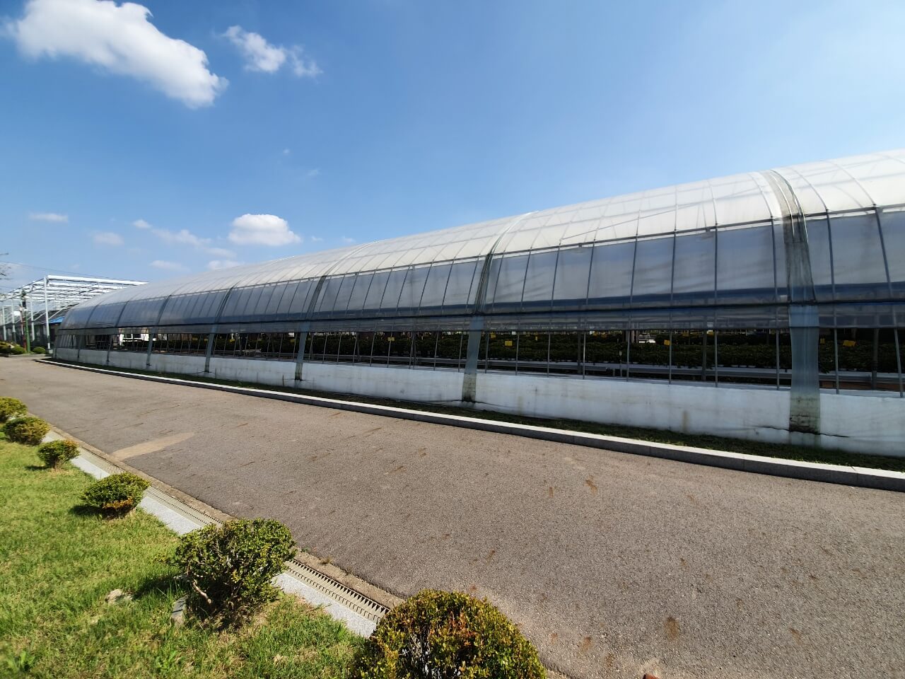 다육식물-하우스