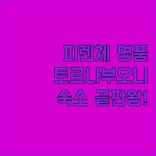 피렌체 여행 코스 비아 데 토르나부오..