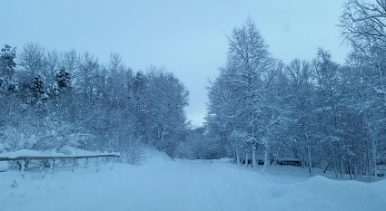 눈꿈 상황별 해몽