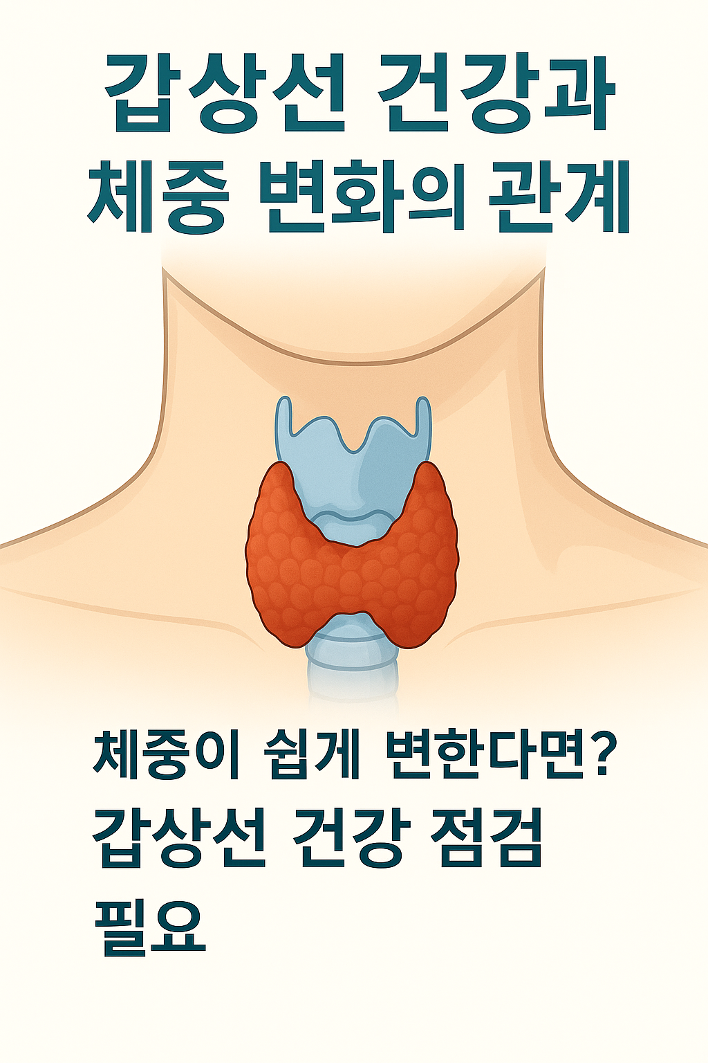 갑상선 건강과 체중 변화의 숨은 연결고리