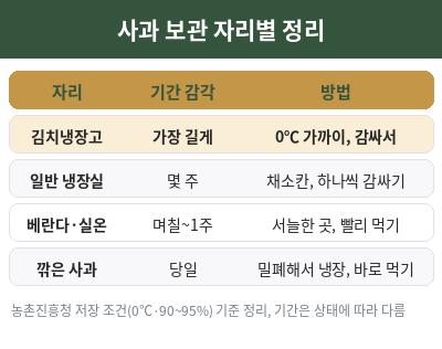 사과 보관법 자리별 정리표