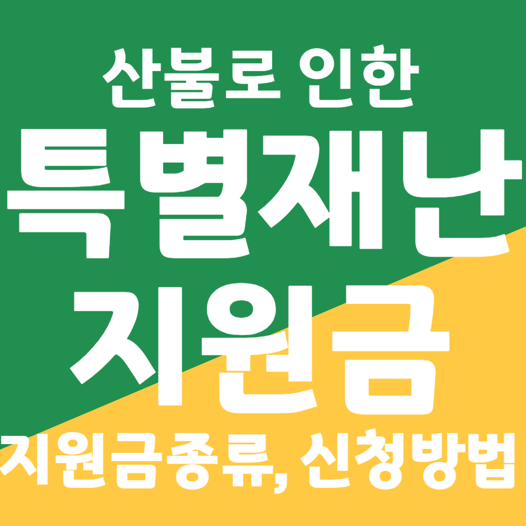 2025 산불