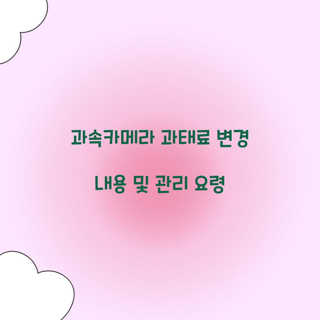 과속카메라 과태료