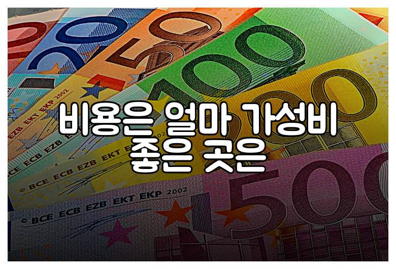 비용은 얼마 가성비 좋은 곳은