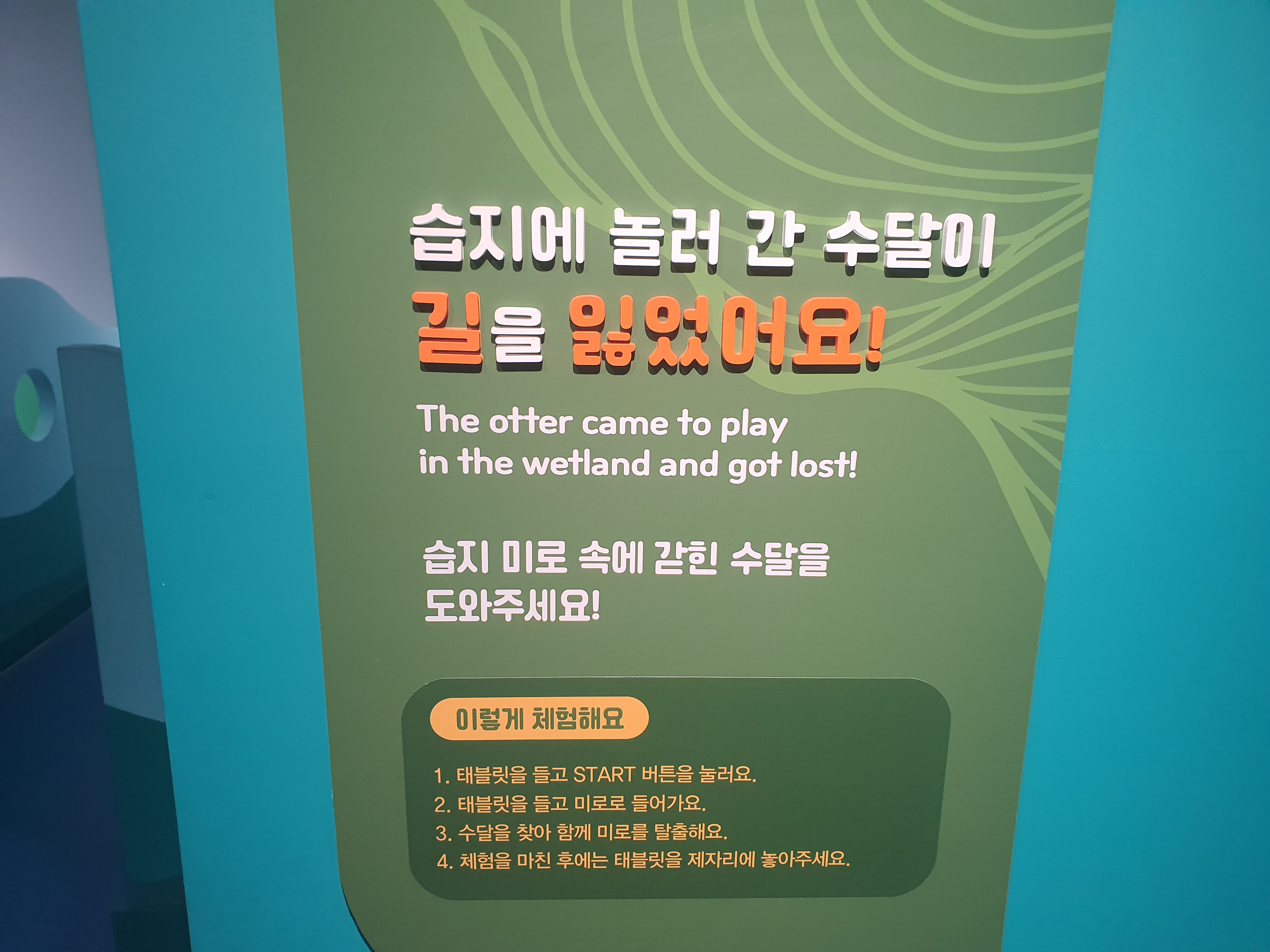 대구어린이세상