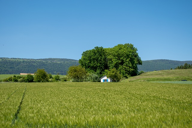 2025년-한식-절기-4월5일-성묘-제철음식-금기사항