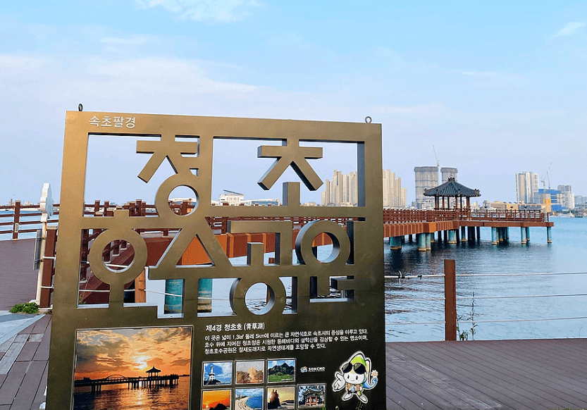 청초호호수공원