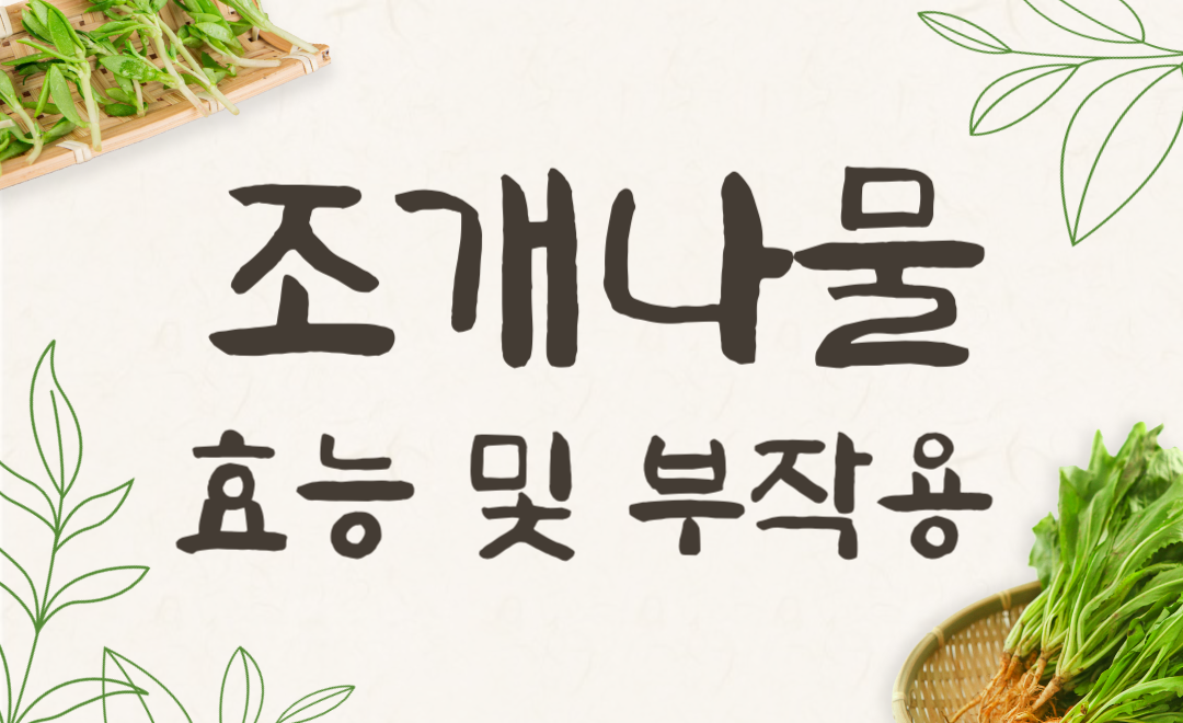 조개나물 효능과 부작용, 방풍나물과 비교해보니