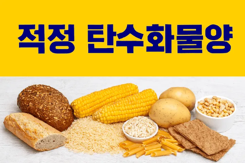적정 탄수화물양-썸네일이미지