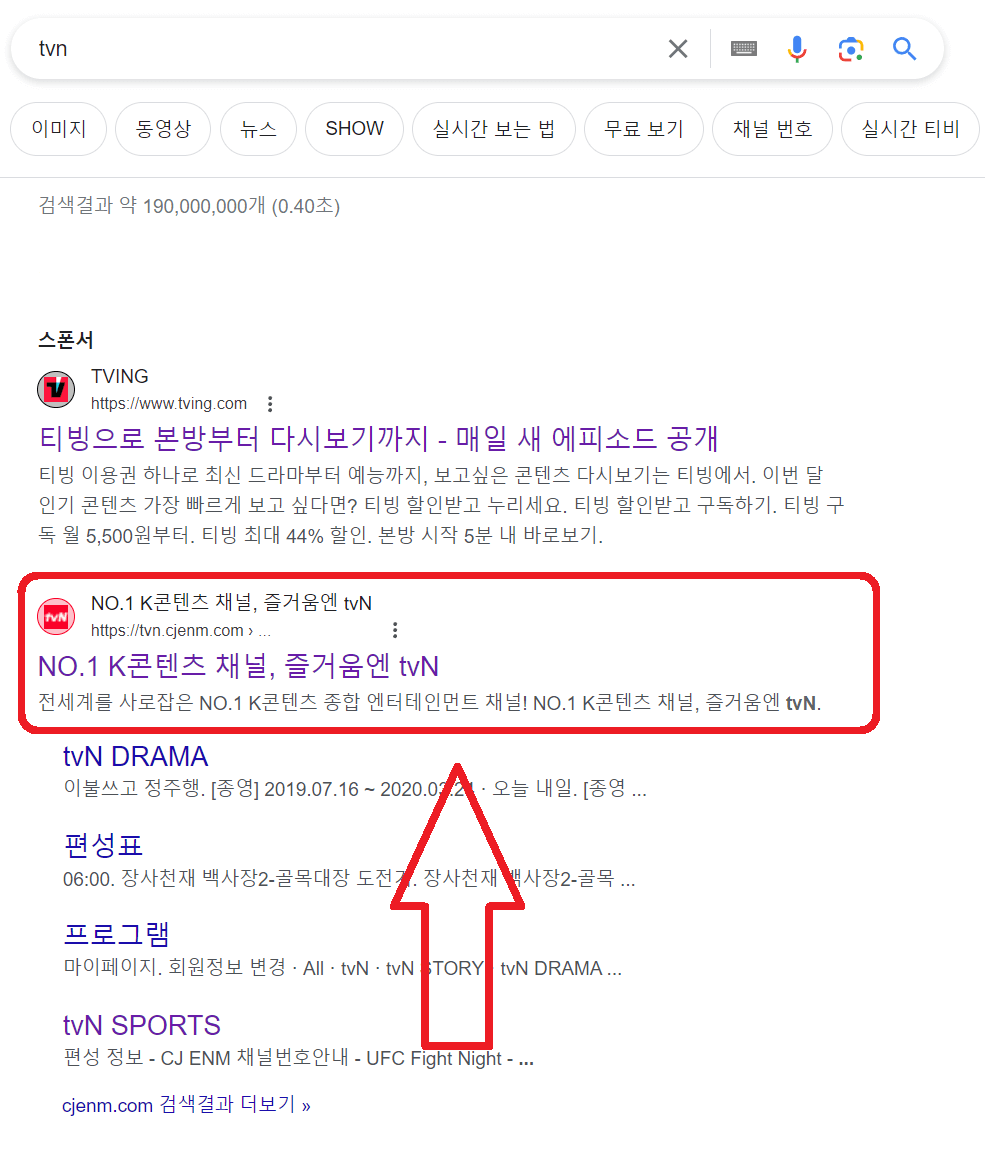 TVN-검색