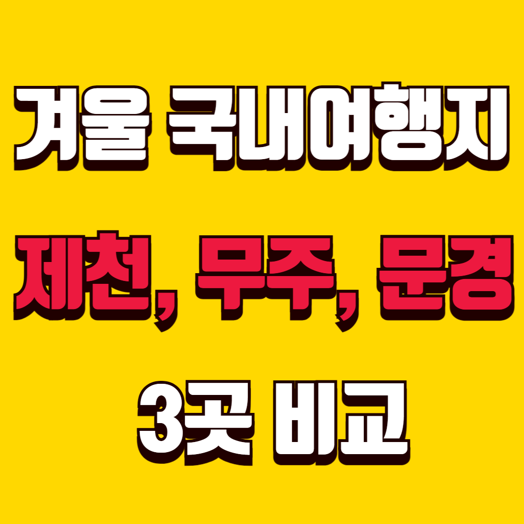 겨울 국내 여행지 추천 3곳 비교 제천, 무주, 문경 어디가 좋을까?