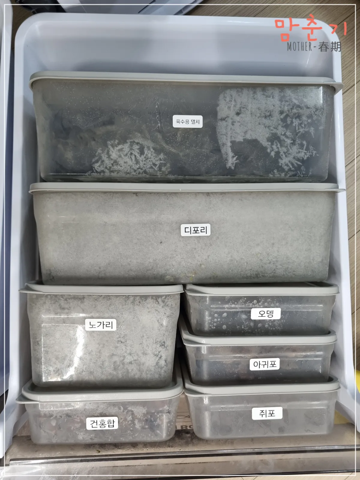 다이소-정리용기-말랑핏-냉동실-정리-건어물