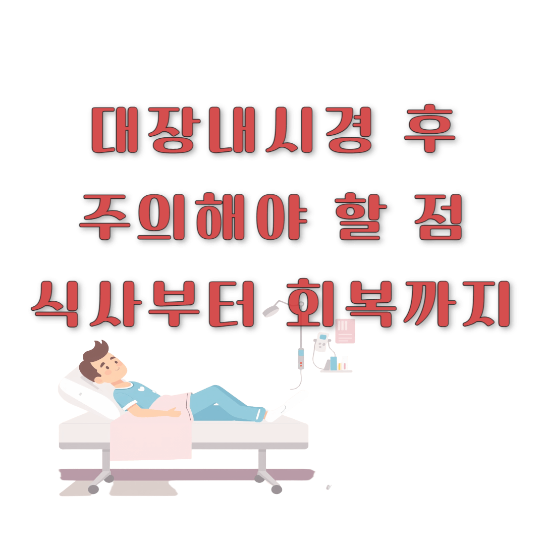 대장내시경 후 주의해야 할 점 ,식사부터 회복까지