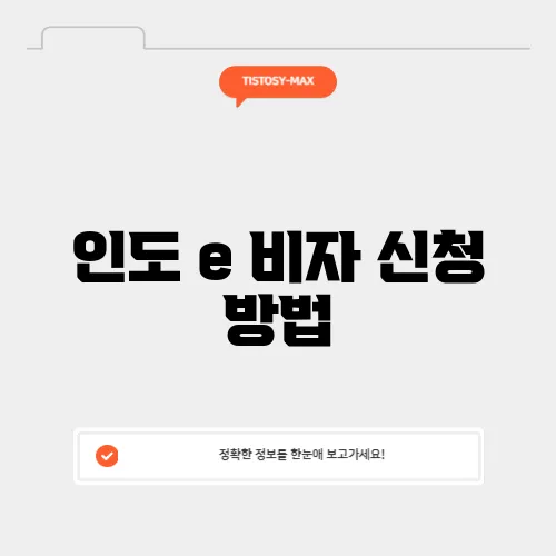 인도 e 비자 신청 방법