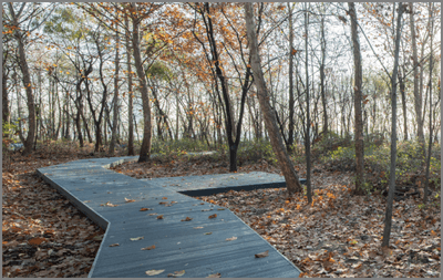 한강공원 피크닉 노들섬