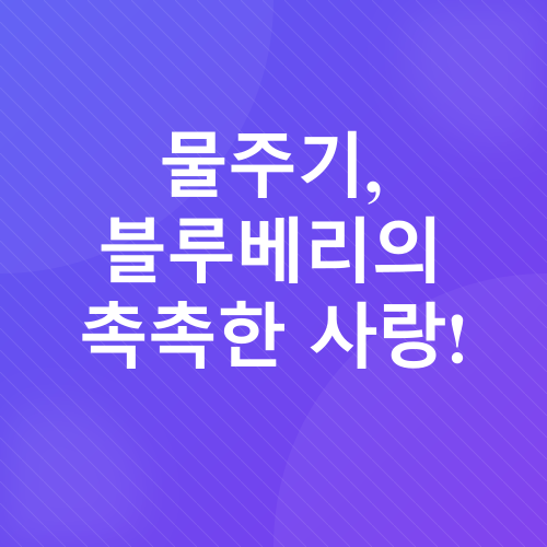 블루베리 화분 재배_4