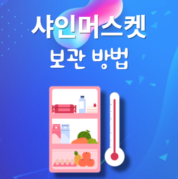 샤인머스켓 보관법