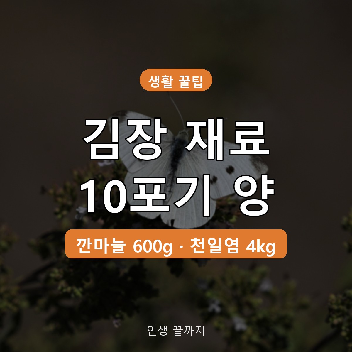 김장 재료 준비 배추 10포기 양념 양, 4인 가족 기준표로 정리