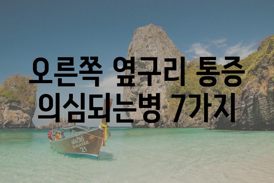 샘플 (80)