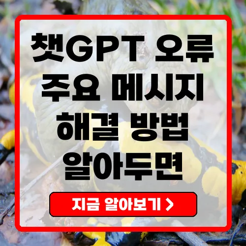 챗GPT 오류 발생 시 주요 메시지와 대응 방안