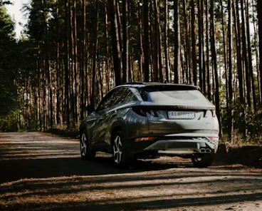 렌터카 창업에 대하여 알아보기