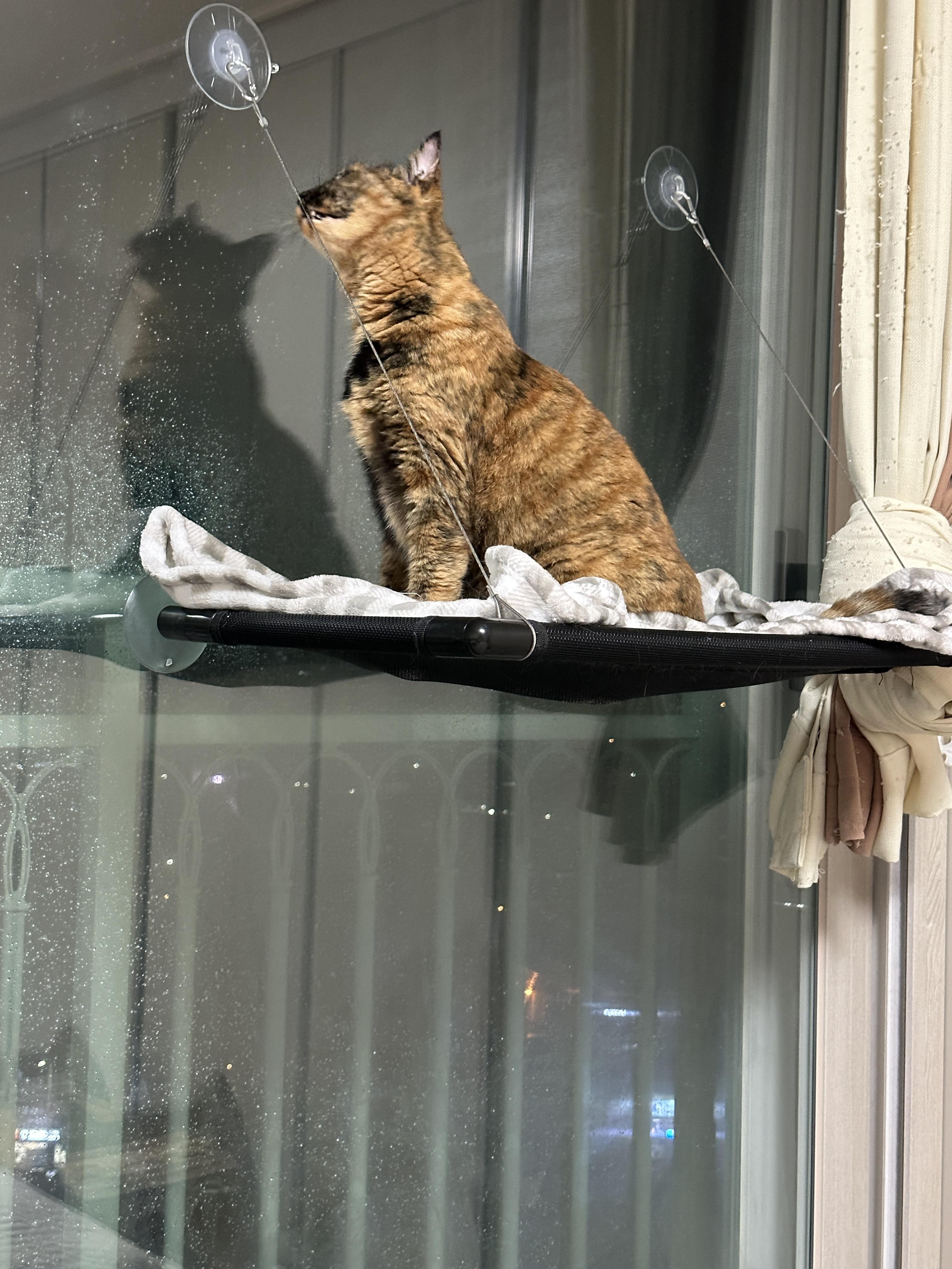 왼쪽_뺨의_페로몬_묻히는_사랑이