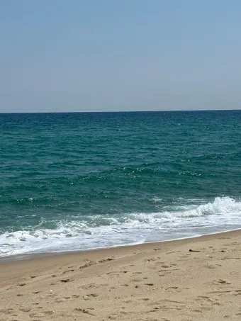 강릉 맛집 추천 여행코스에 포함하기 좋은 식당 리스트_14