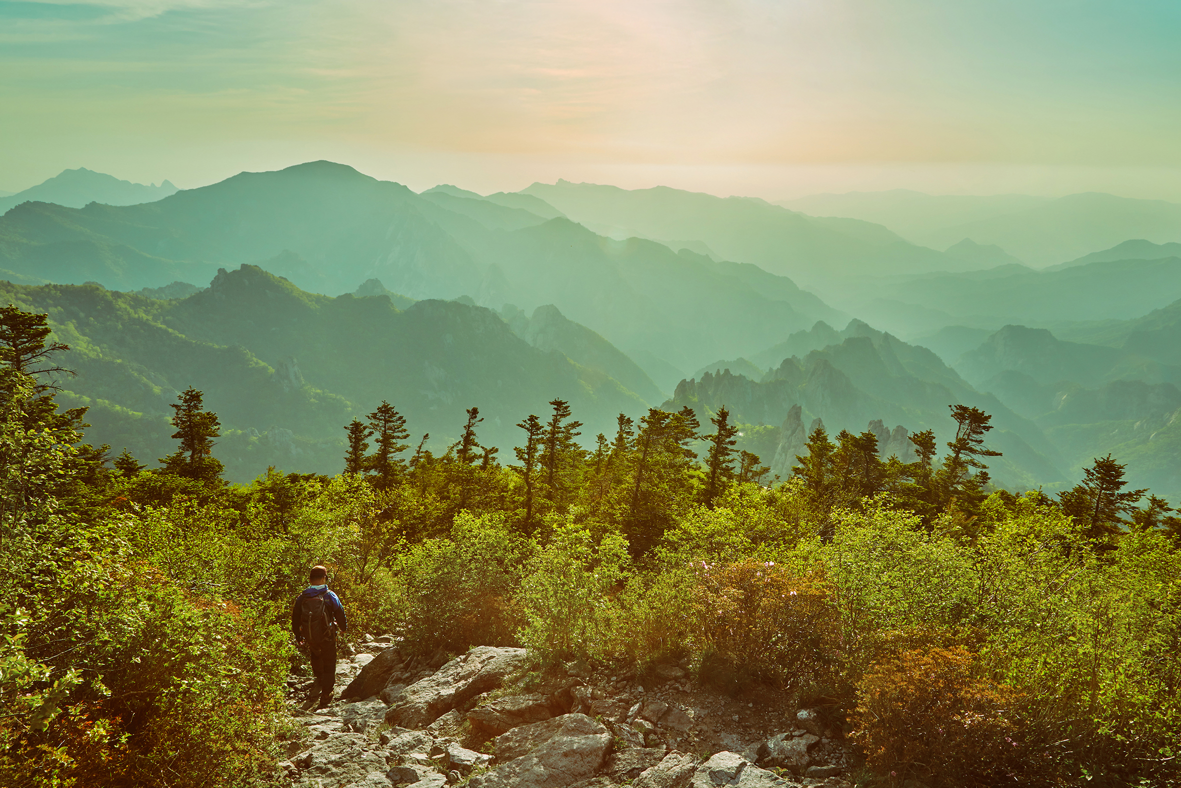 국립공원 앱&amp;#39;탐방 알리미&amp;#39;