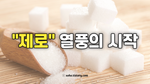 제로 열풍의 시작