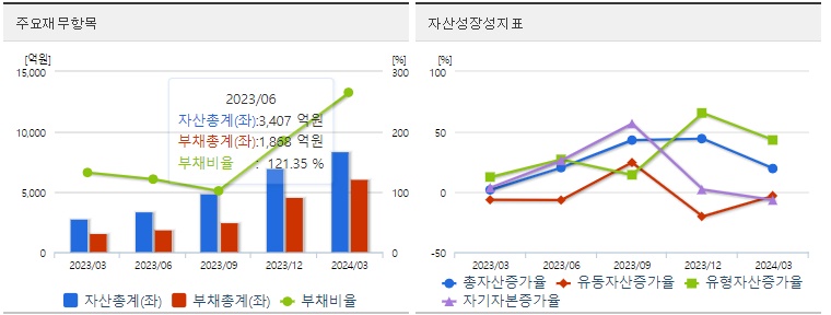 금양 재무상태