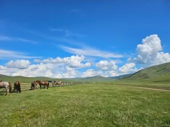 몽골 여행 날씨 필수 준비물_14