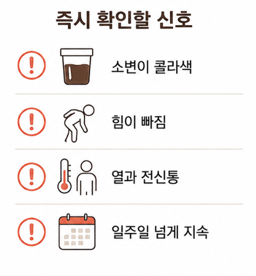 근육통에서 즉시 확인해야 할 신호, 진한 소변 색과 근력 저하, 발열, 일주일 이상 지속을 모은 체크리스트