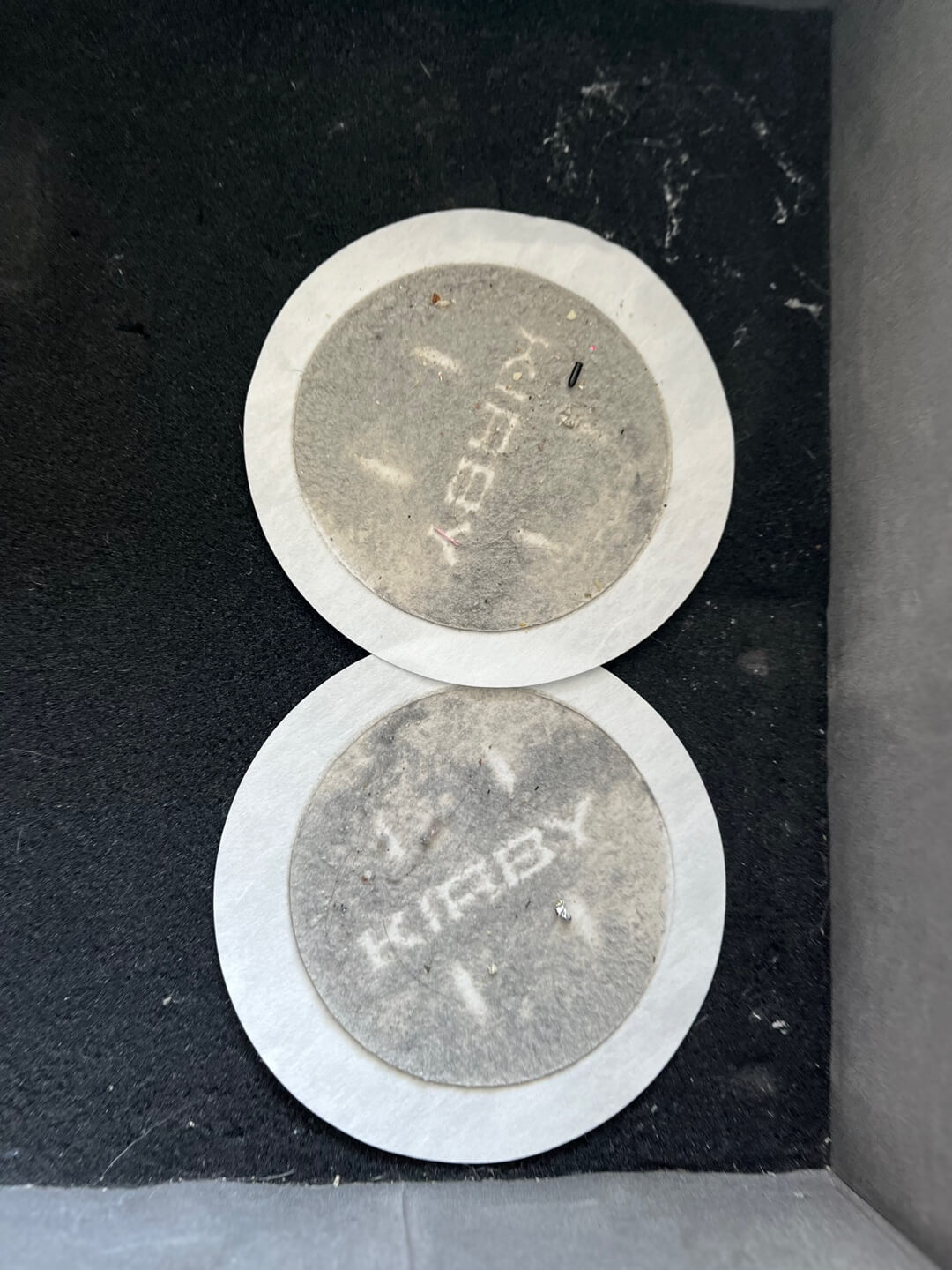 에싸 패브릭 진드기