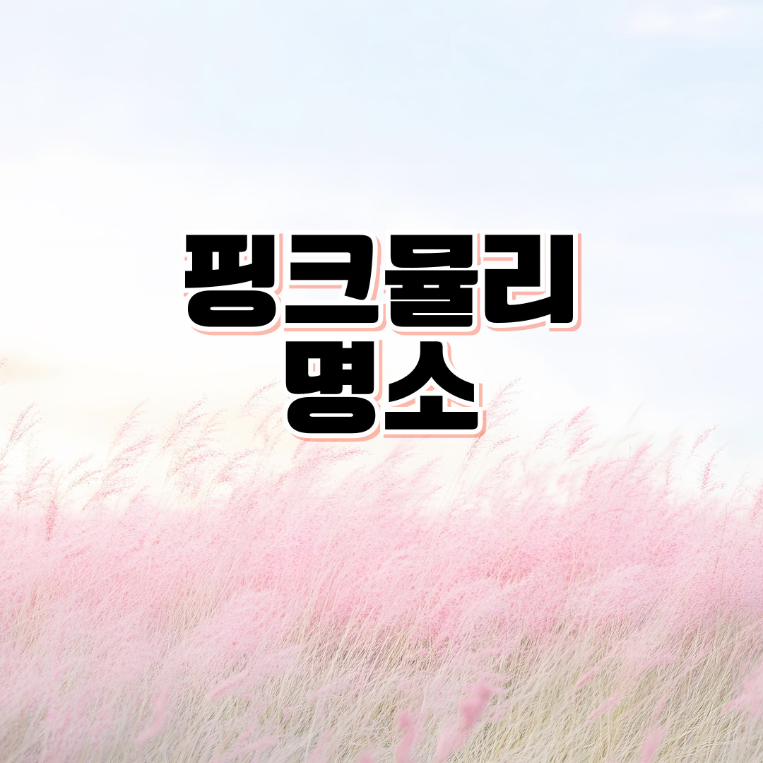 대전·천안·공주·태안 핑크뮬리 명소 총정리 🌸 정주골·창주·세종·전주 감성 핑크빛 여행지 BEST 10 │ 가을 인생샷 포토존 가이드