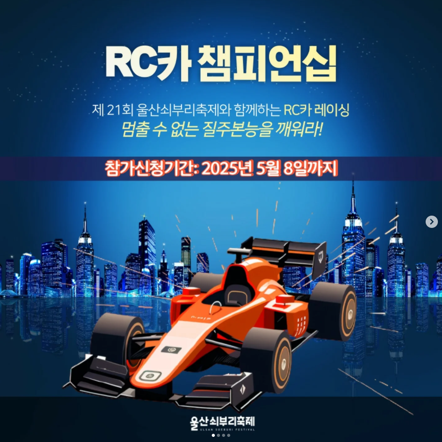 RC카 챔피언쉽