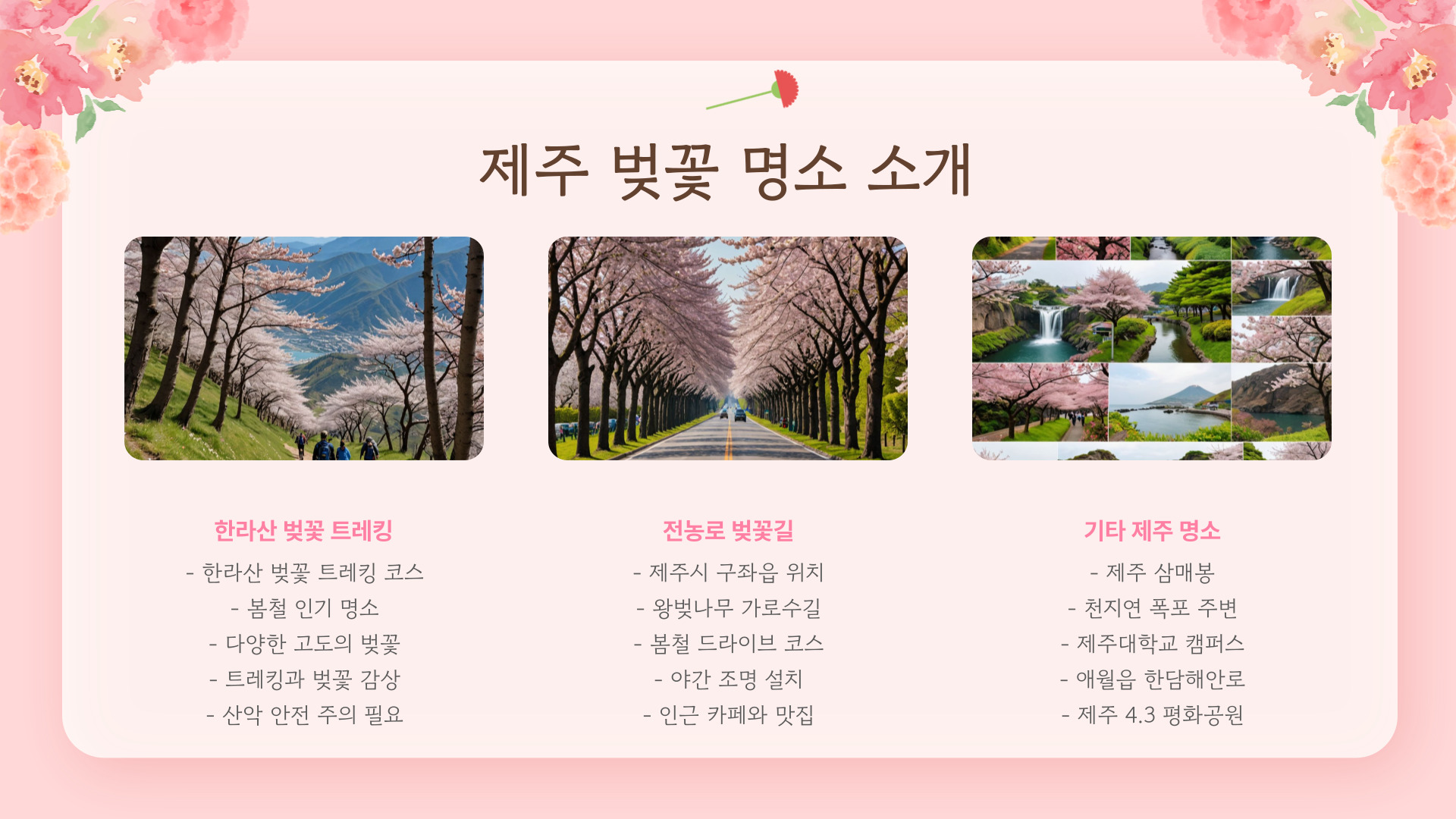 2025년 벚꽃 개화시기