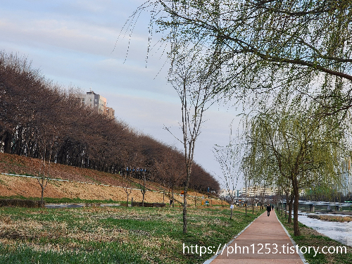 Alt 속성 문제 해결 설명 이미지