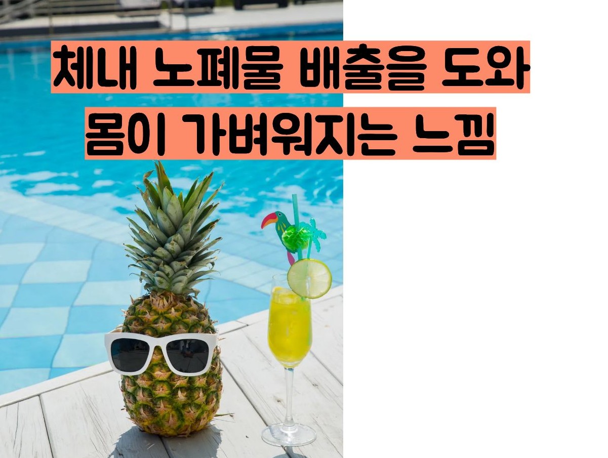 파인애플 효능