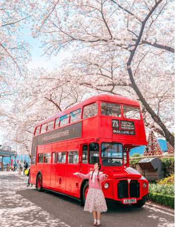 이월드 벚꽃축제 대구