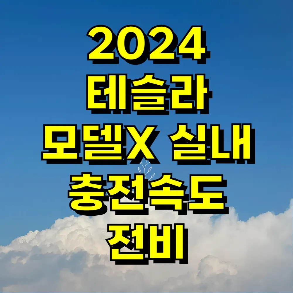2024 테슬라 모델X 실내 충전속도 전비