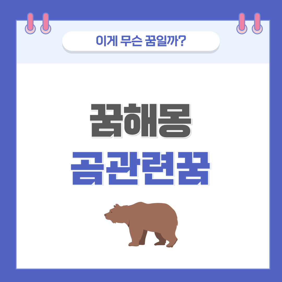 [꿈해몽] 곰 나오는 꿈 의미와 해석