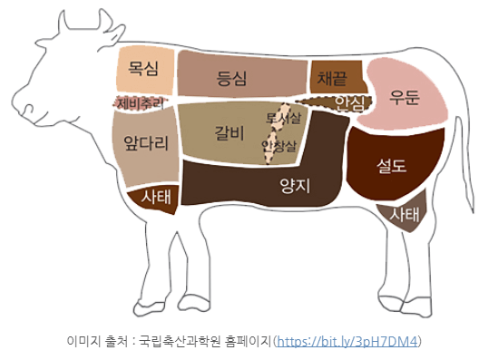 소고기 부위별 명칭과 용도