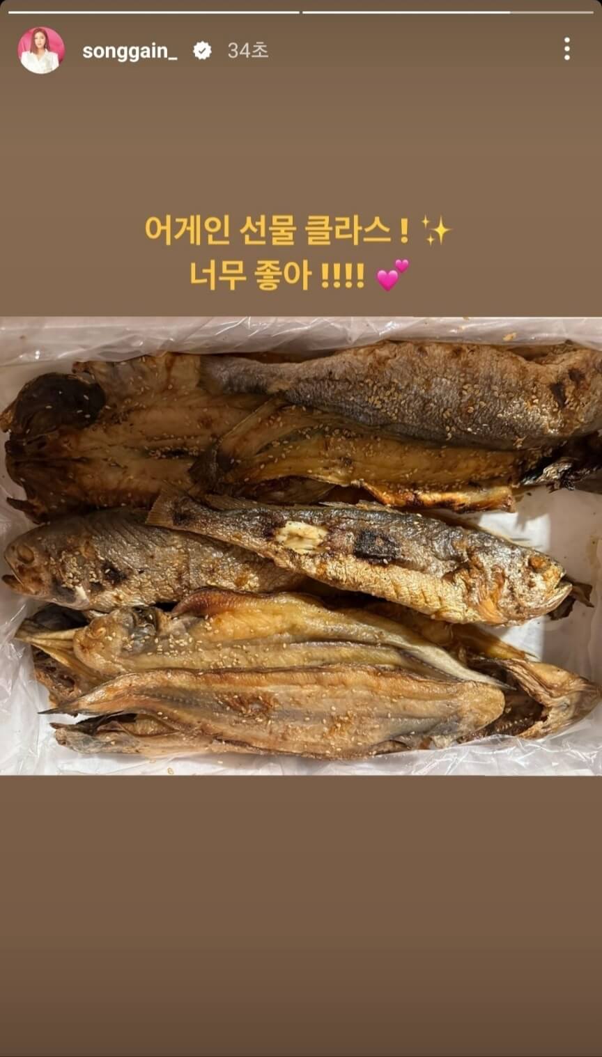 송가인 팬 어게인 음식선물 인증